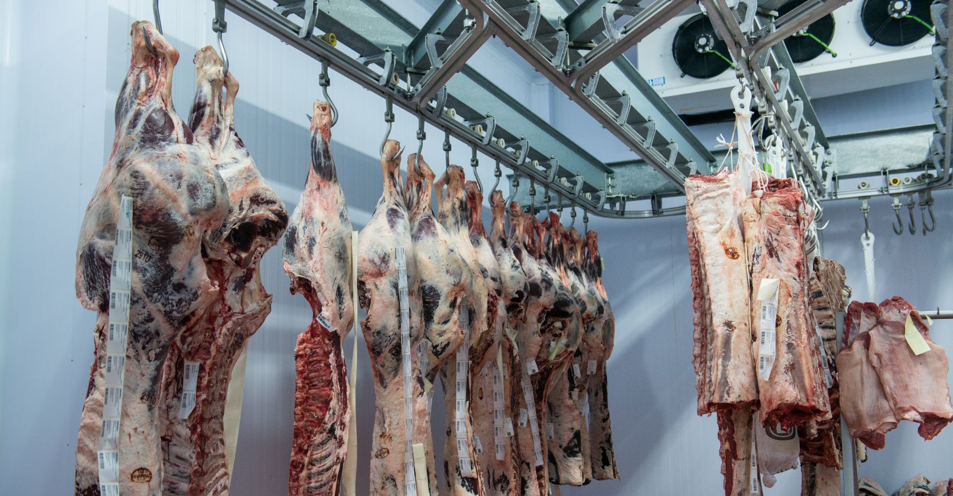 sala de despiece carnesur